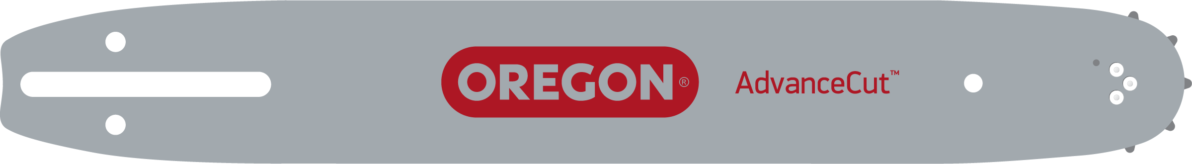 Oregon Produktbild