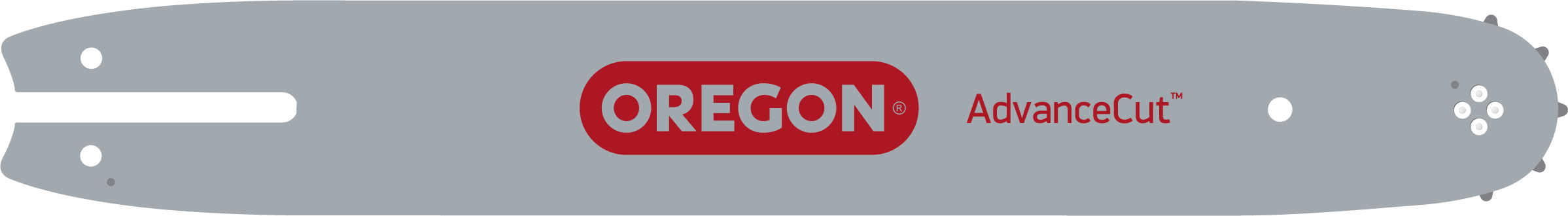 Oregon Produktbild