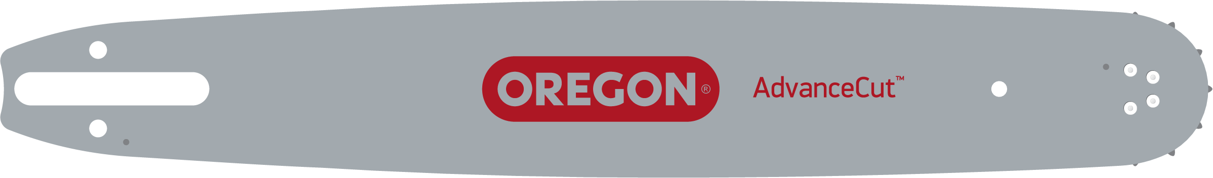 Oregon Produktbild