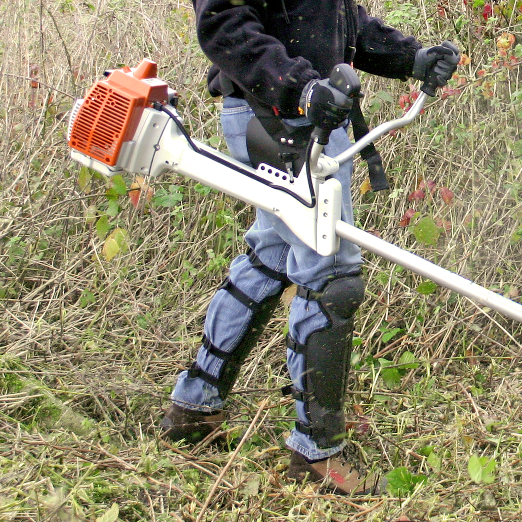 Oregon Produktbild