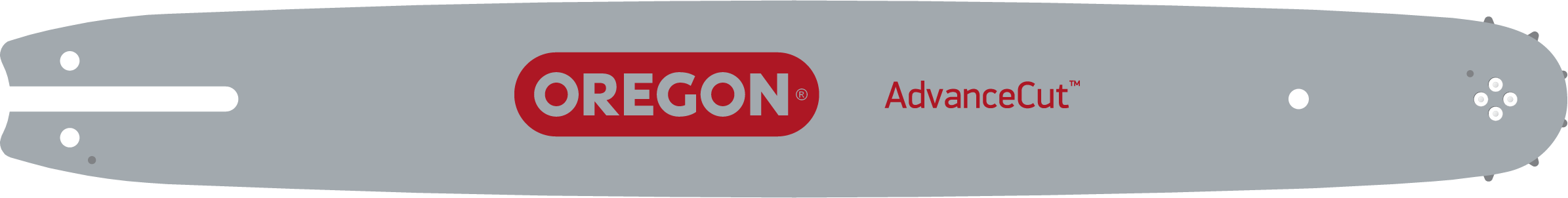 Oregon Produktbild