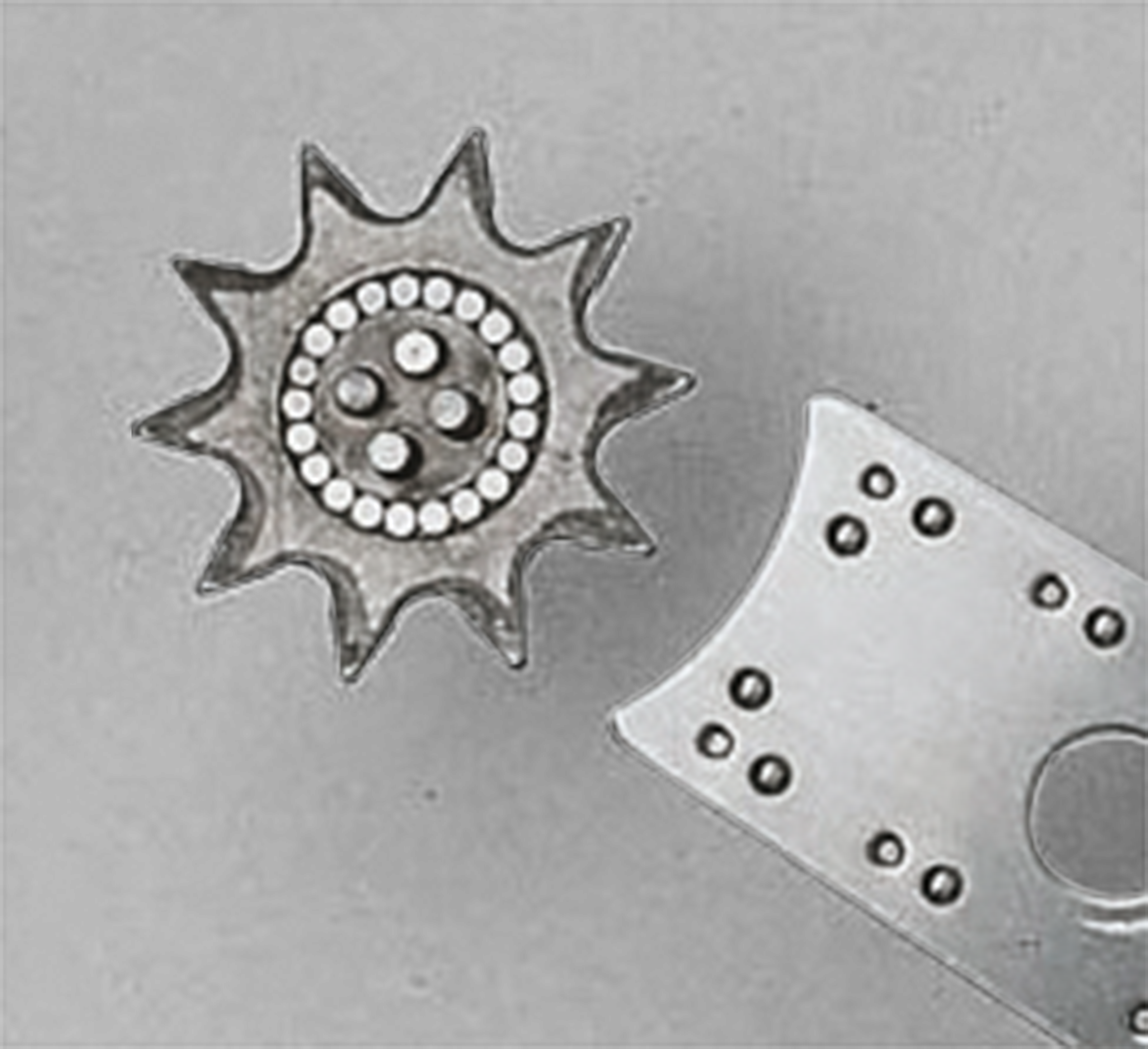Nose sprocket kit – Wartung und Ersatzteile – Ansicht 1