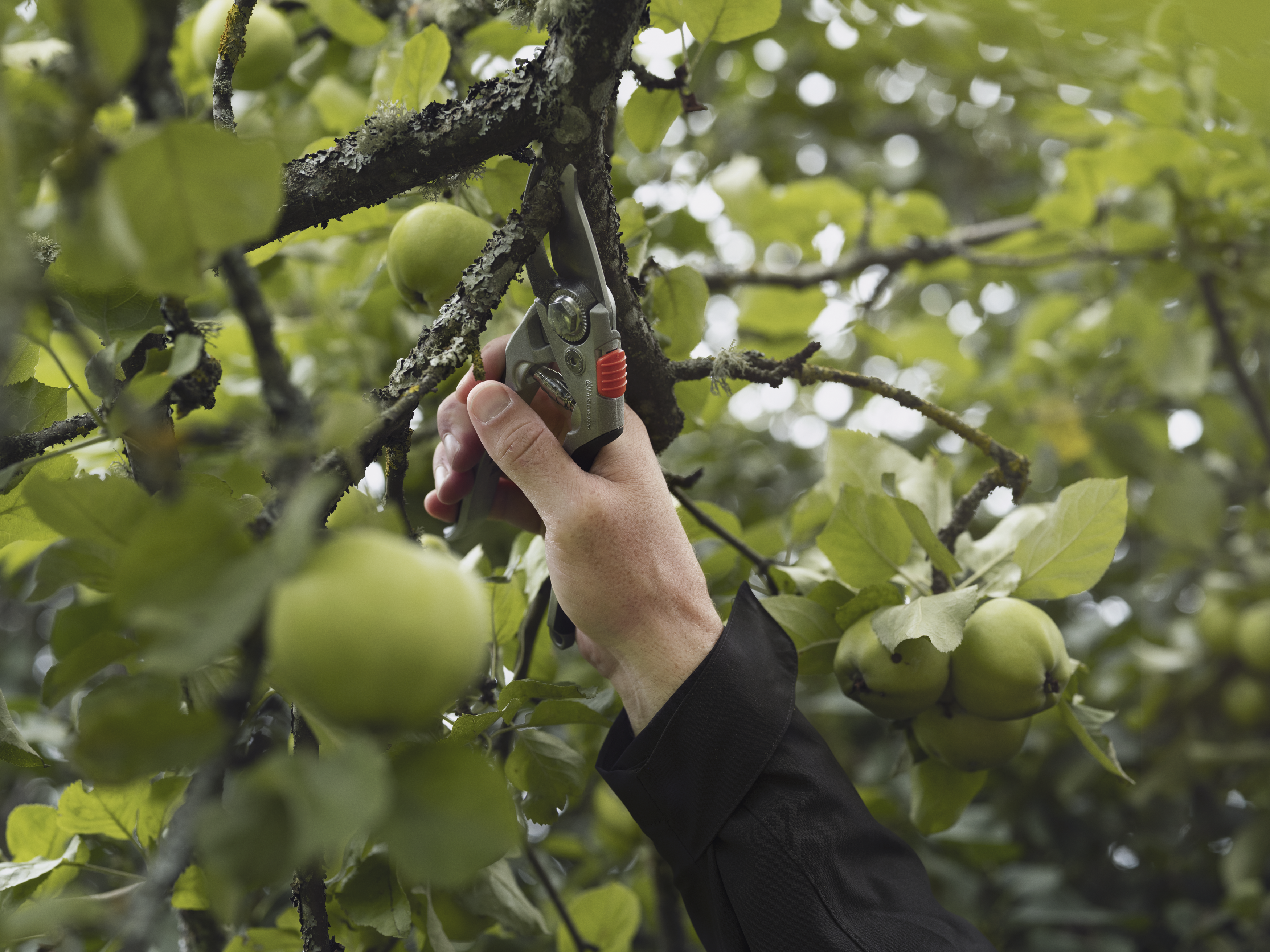 Husqvarna Gartenschere Alu HS24 – Astsägen – Ansicht 2