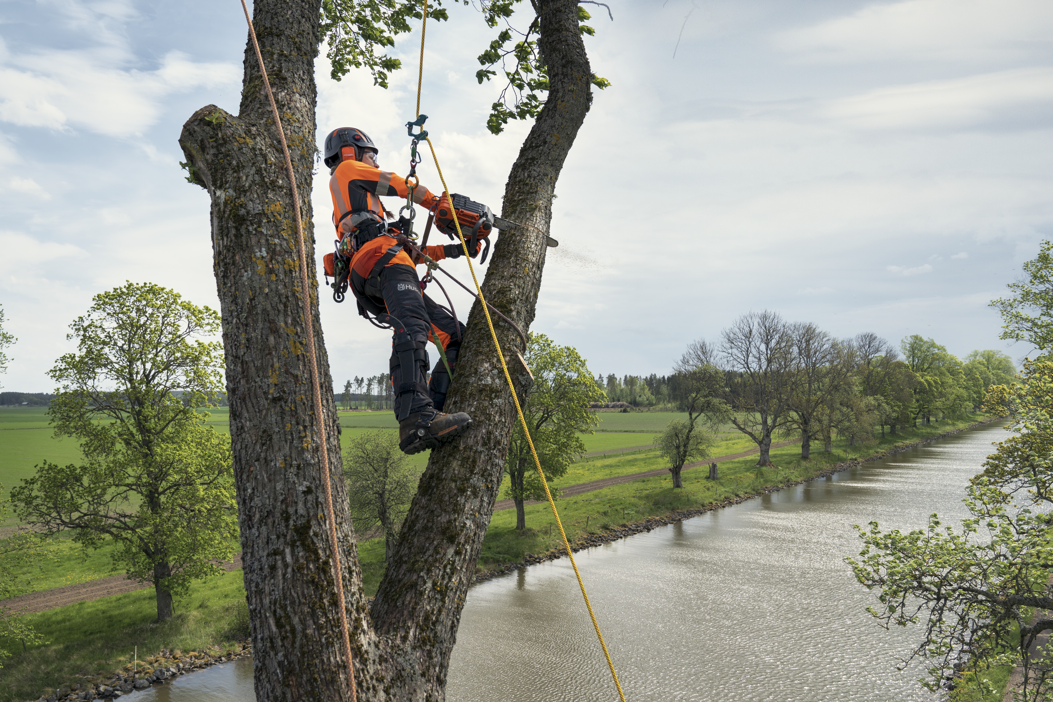 Husqvarna T540 XP® Mark III – Motorsäge – Ansicht 2