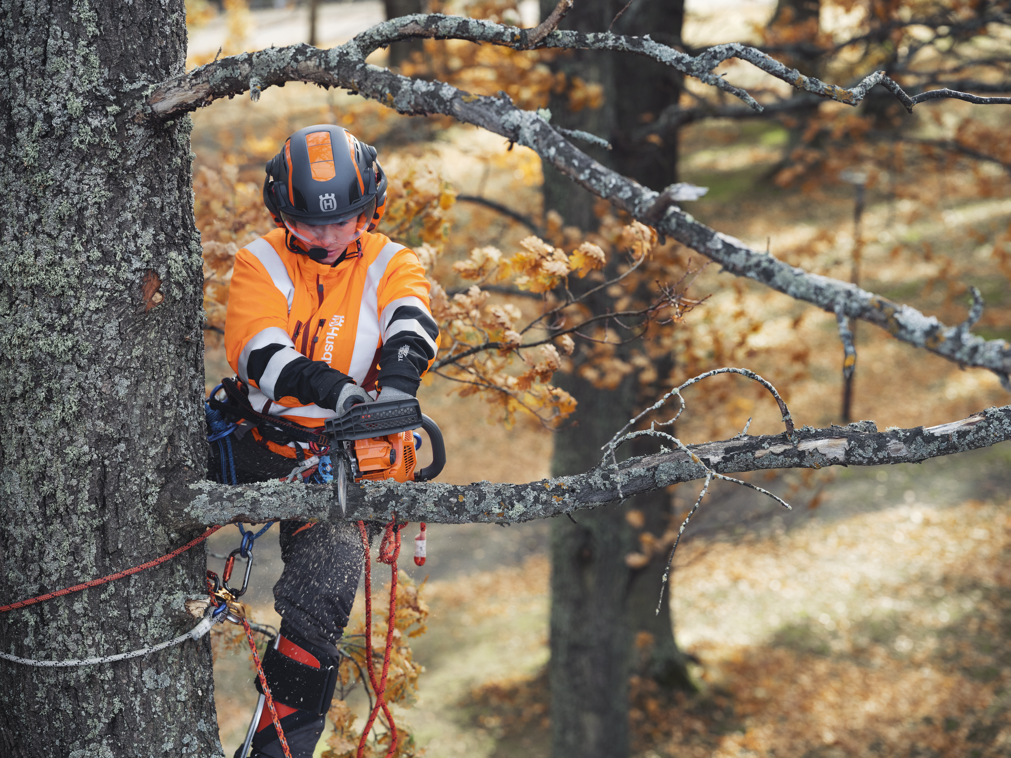 Husqvarna T435 – Motorsäge – Ansicht 2