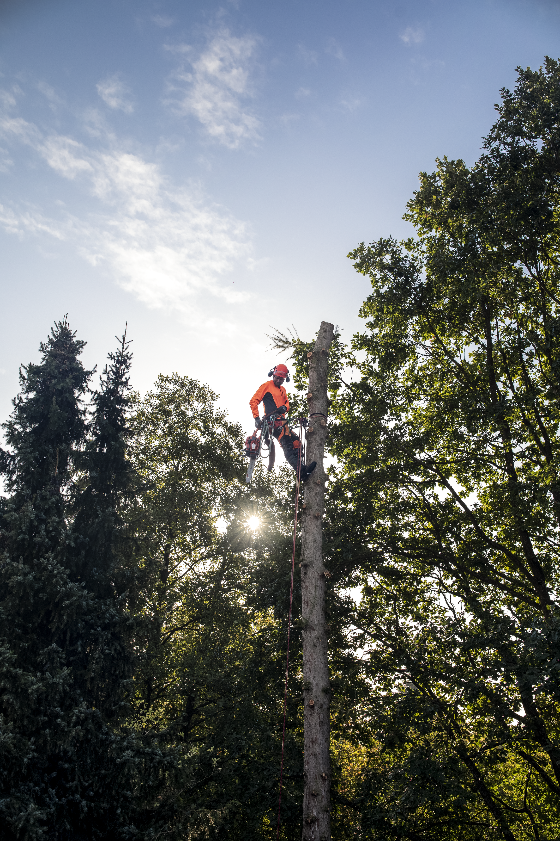 Husqvarna Arboristen Fällkeil 10 cm – Keile – Ansicht 2