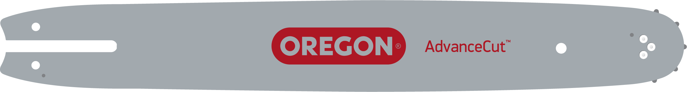 Oregon Produktbild
